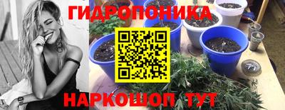 амф Заводоуковск