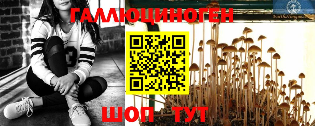 Псилоцибиновые грибы MAGIC MUSHROOMS Петрозаводск